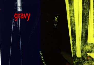 Gravy